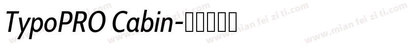 TypoPRO Cabin字体转换